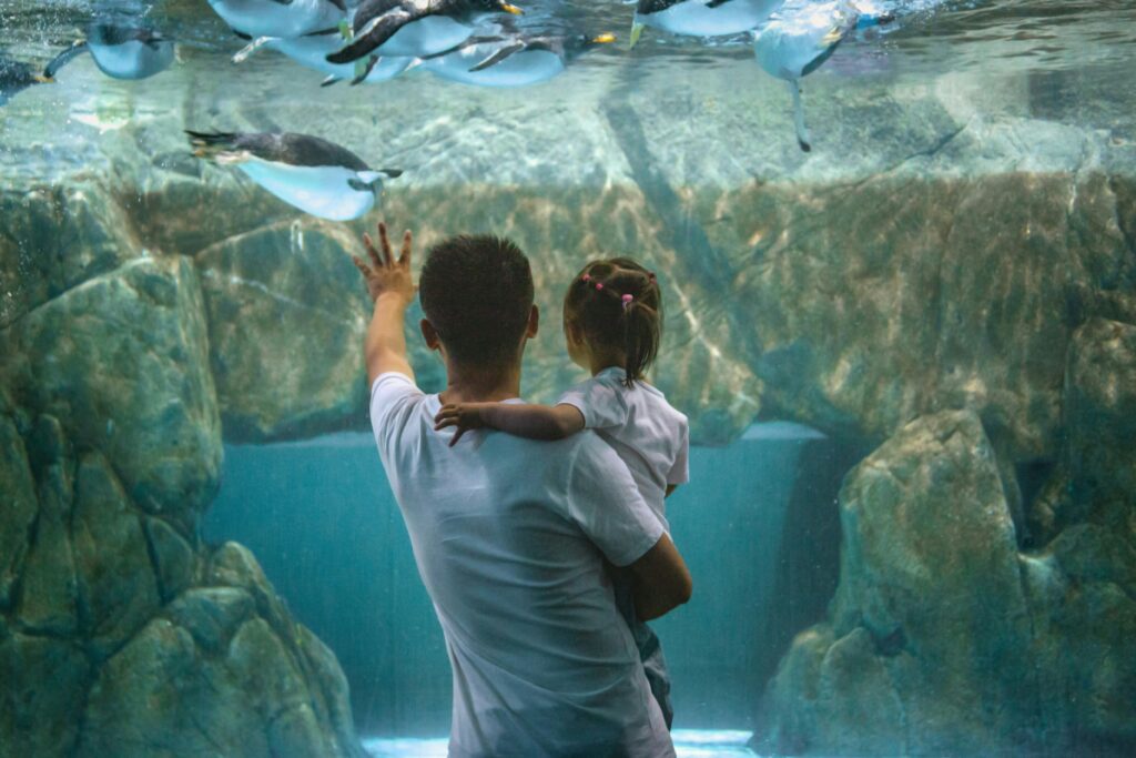 A father holding his child while watching penguins swim inside an aquarium exhibit.