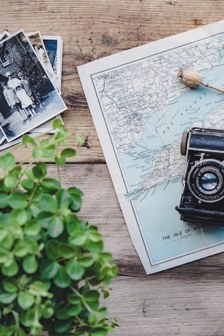 camera, vintage, map, plant, flat lay, retro, photographs, old, old camera, nature, vintage camera, photography