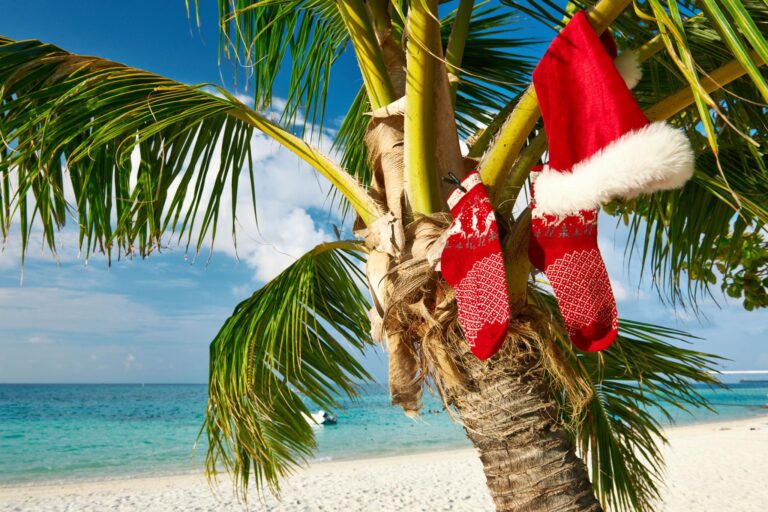 Holiday Travel