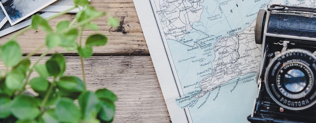 camera, vintage, map, plant, flat lay, retro, photographs, old, old camera, nature, vintage camera, photography